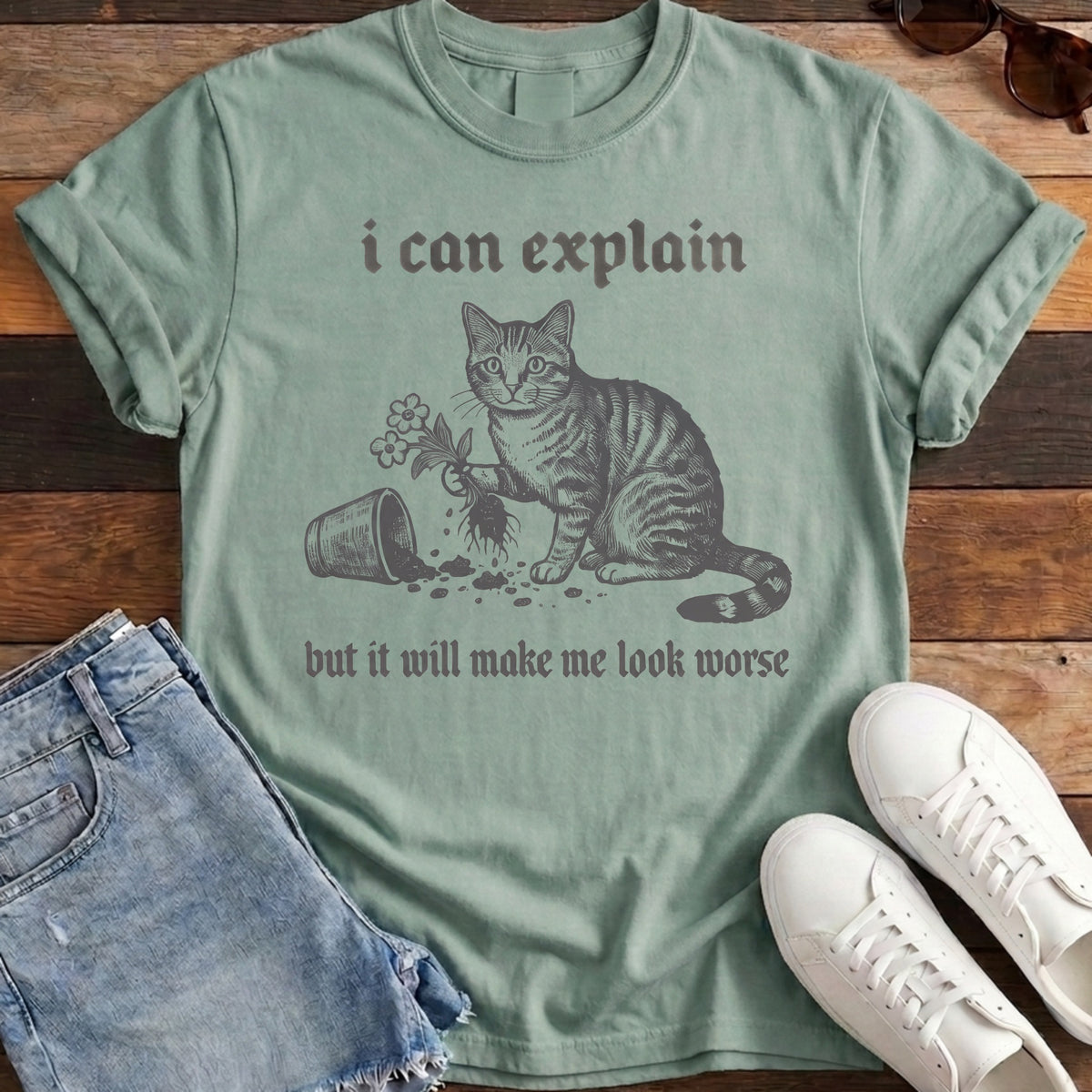 I Can Explain Tee - Bay