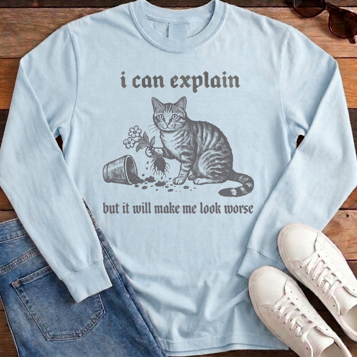 I Can Explain Long Sleeve - Chambray